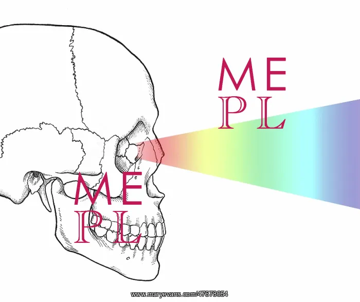  : Visible Light Perception, Illustration