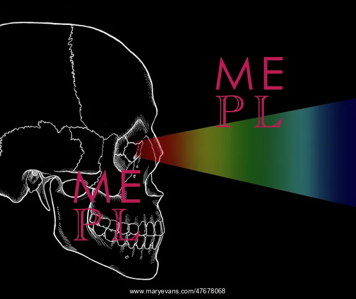  : Visible Light Perception, Illustration