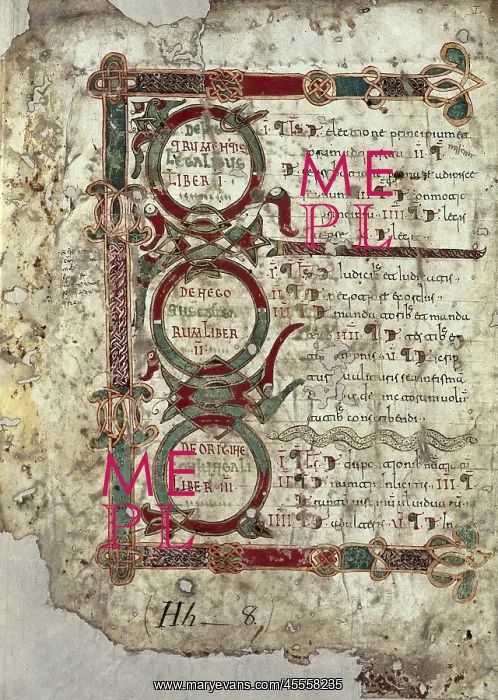 : Visigothic Code or Liber Iudiciorum or Lex Visigothorum : Visigothic Code or Liber Iudiciorum or Lex Visigothorum