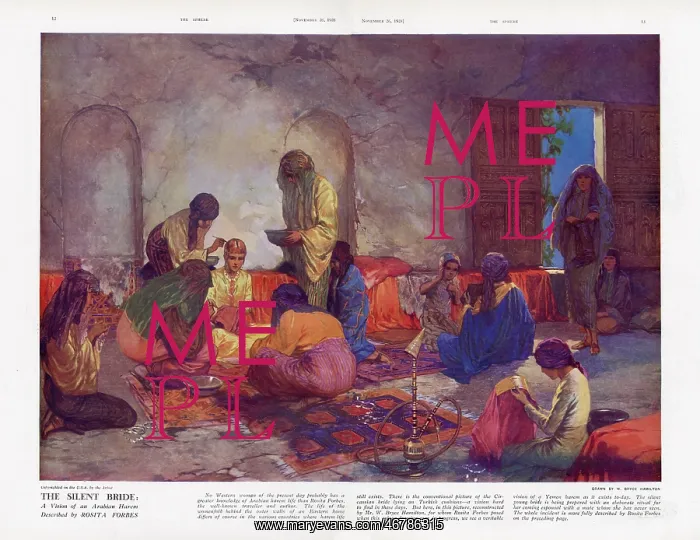 : Vision of an Arabian Harem : Vision of an Arabian Harem