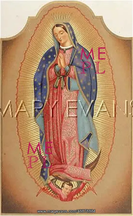 : VISION AT GUADALUPE : VISION AT GUADALUPE