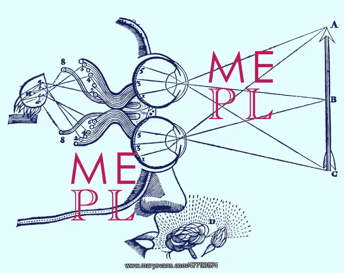  : Vision and Perception, 17th Century