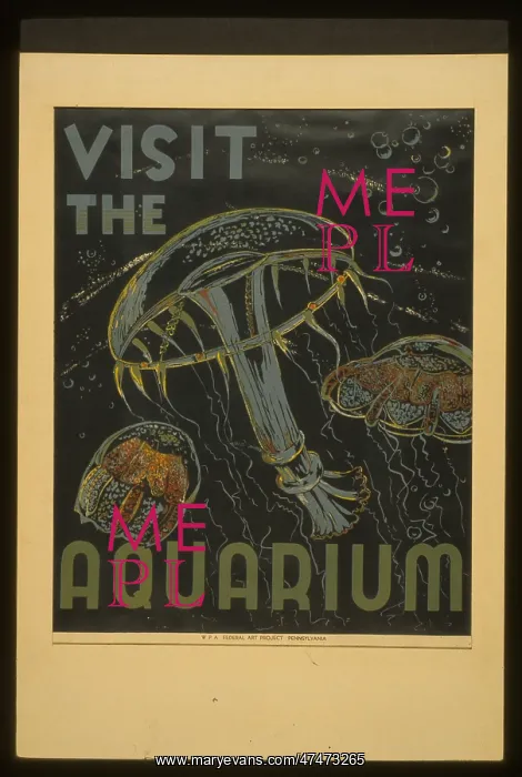 : Visit the aquarium : Visit the aquarium