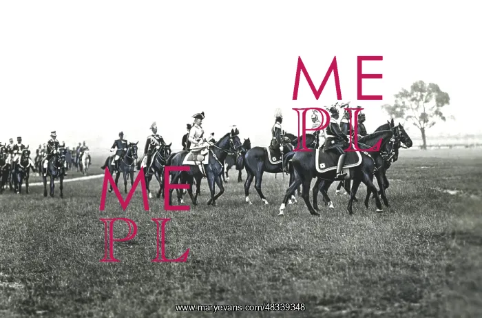 : Visit to a cavalry division : Visit to a cavalry division