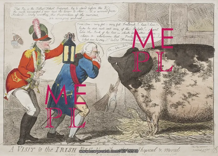 : A Visit to the Irish Pig!! With reflections Physical & Moral : A Visit to the Irish Pig!! With reflections Physical & Moral
