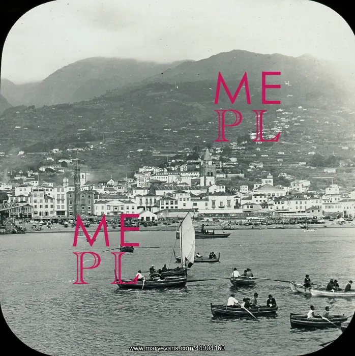 : Visit to Madeira - Funchal from the Ship : Visit to Madeira - Funchal from the Ship