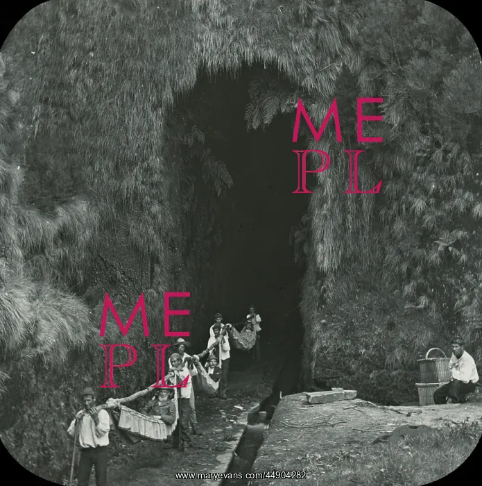 : Visit to Madeira - The Levada Tunnel : Visit to Madeira - The Levada Tunnel