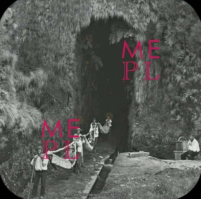 : Visit to Madeira - The Levada Tunnel : Visit to Madeira - The Levada Tunnel