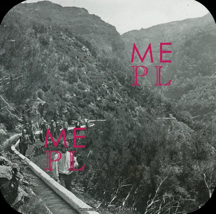 : Visit to Madeira - Path along the lower levada : Visit to Madeira - Path along the lower levada