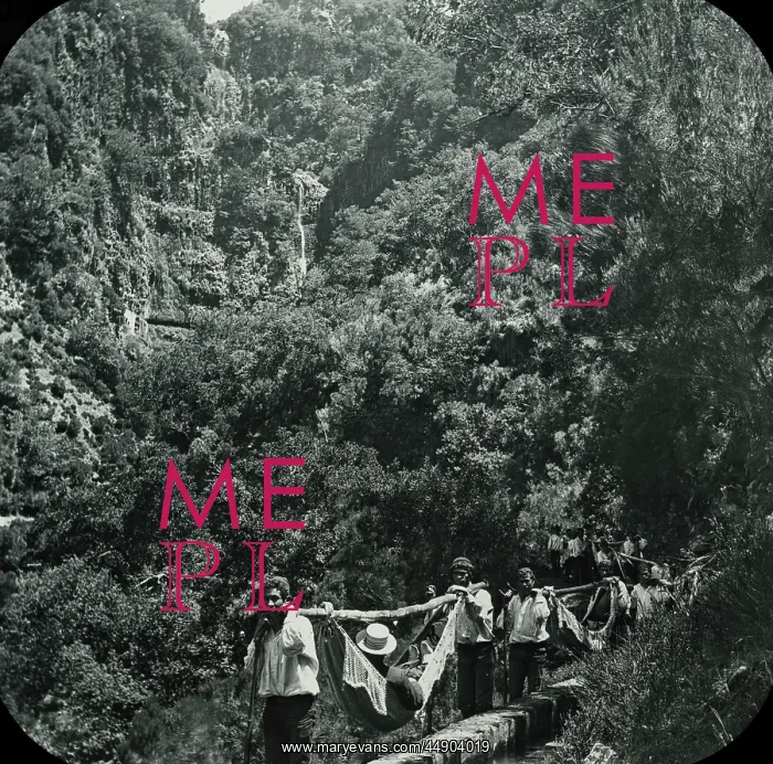 : Visit to Madeira - Rabacal - Hammock Ride Resumed : Visit to Madeira - Rabacal - Hammock Ride Resumed
