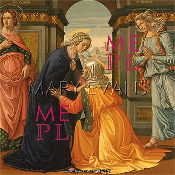 : THE VISITATION : THE VISITATION