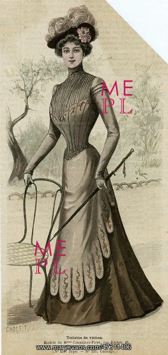 : Visiting Dress 1899 : Visiting Dress 1899