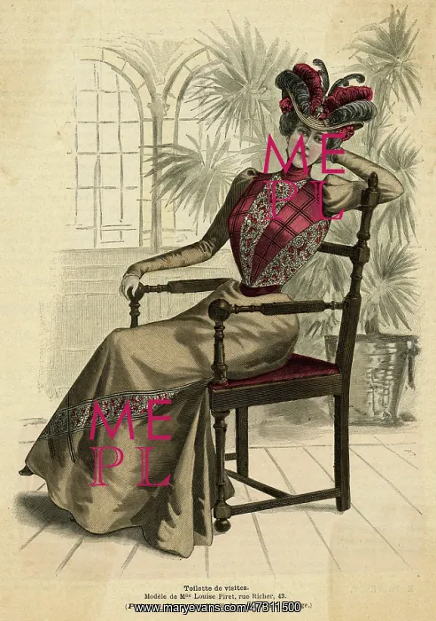 : Visiting Dress 1899 : Visiting Dress 1899