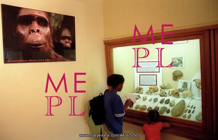 : Visitors to the Sterkfontein Caves Museum : Visitors to the Sterkfontein Caves Museum