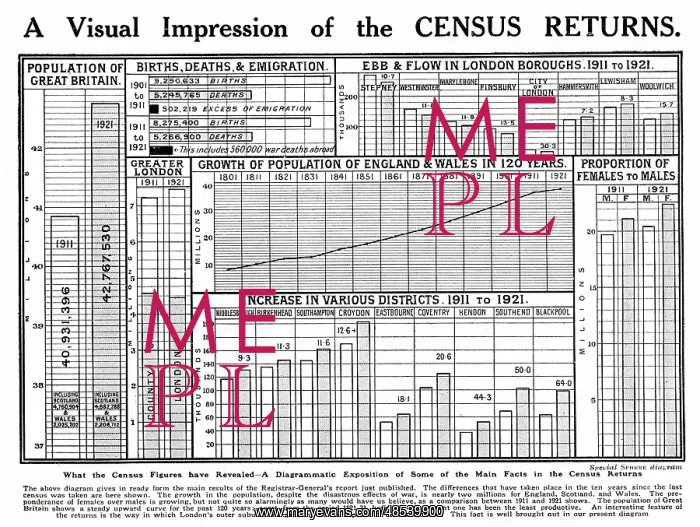: A Visual Impression of the Census Returns, 1921 : A Visual Impression of the Census Returns, 1921