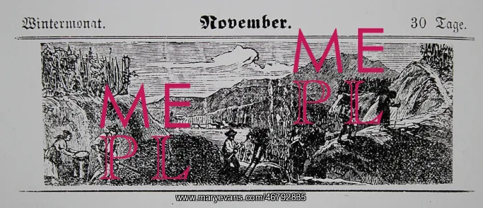 : Viticulture calendar 1885 : Viticulture calendar 1885