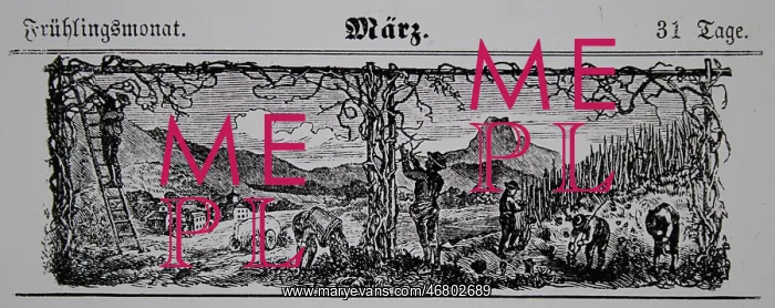 : Viticulture calendar 1885 : Viticulture calendar 1885