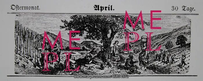 : Viticulture calendar 1885 : Viticulture calendar 1885