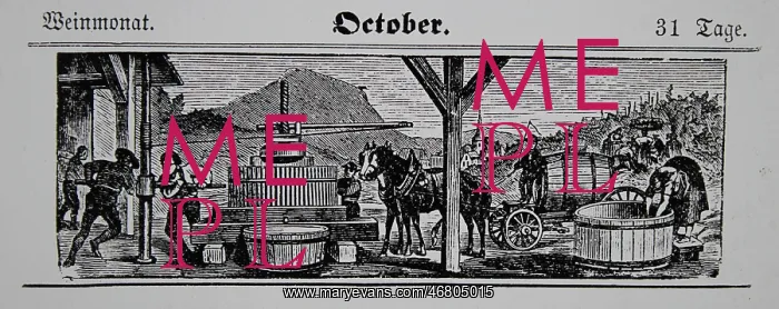 : Viticulture calendar 1885 : Viticulture calendar 1885