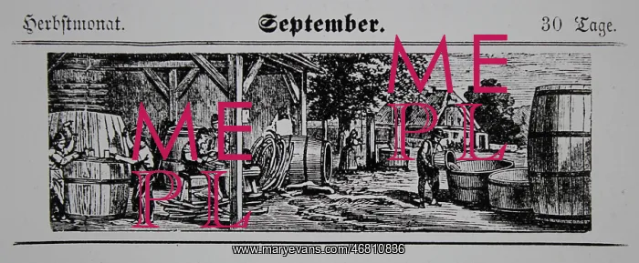 : Viticulture calendar 1885 : Viticulture calendar 1885