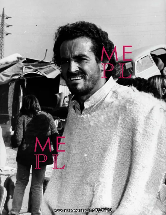 : Vittorio Gassman : Vittorio Gassman