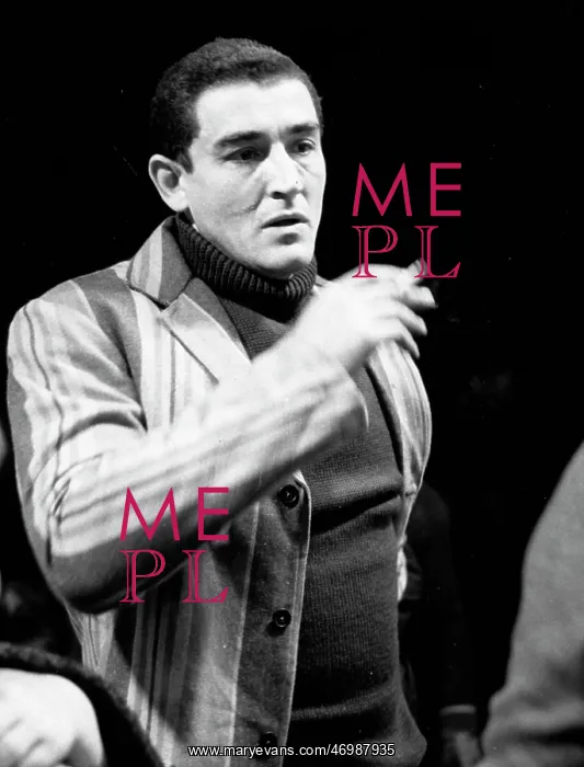 : Vittorio Gassman : Vittorio Gassman