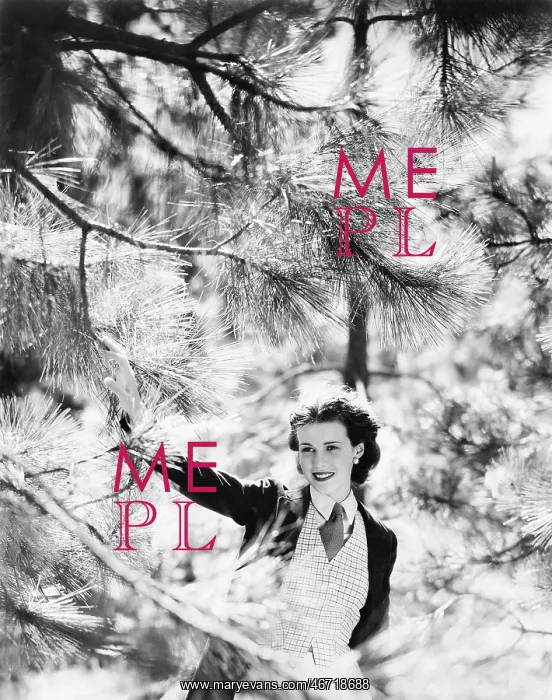 : Vivacious woman looking through the branches of a pine tree : Vivacious woman looking through the branches of a pine tree