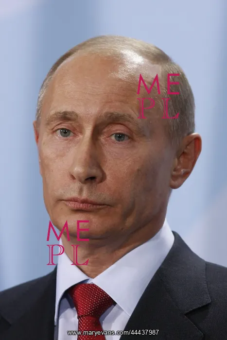 : Vladimir Putin : Vladimir Putin
