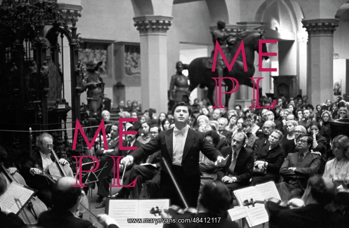 : Vladimir Spivakov's Violin Ensemble at Puskin : Vladimir Spivakov's Violin Ensemble at Puskin