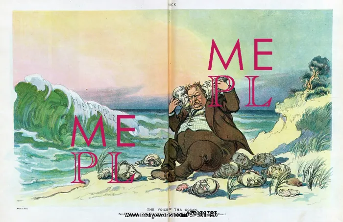 : The voice of the ocean : The voice of the ocean