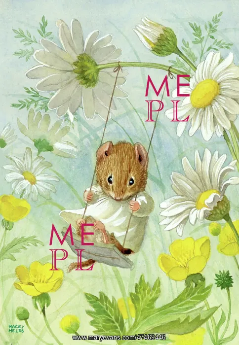 : Vole on a swing suspended from oxeye daisy : Vole on a swing suspended from oxeye daisy