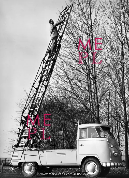 : Volkswagen : Volkswagen