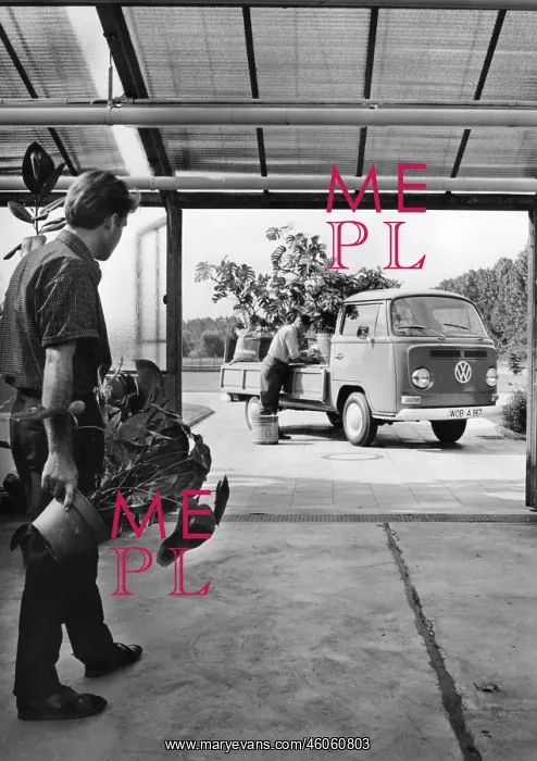 : Volkswagen : Volkswagen