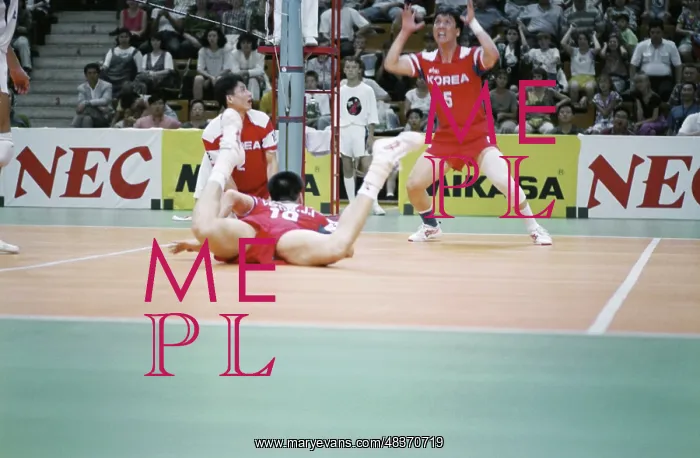 : Volleyball Match : Volleyball Match