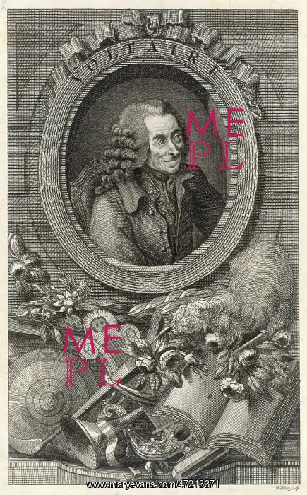  : Voltaire. Francois-Marie Arouet (1694 - 1778), celebratory portrait of the French writer