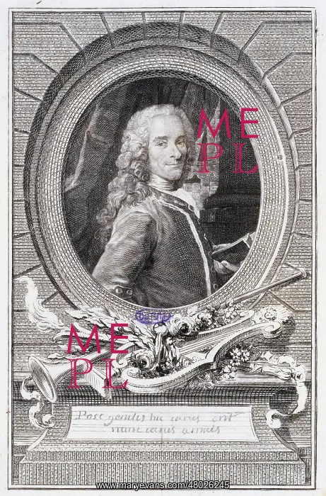 : Voltaire. Etienne Ficquet (1719-1794) after Maurice Quentin de la Tour (1712-1778) : Voltaire. Etienne Ficquet (1719-1794) after Maurice Quentin de la Tour (1712-1778)