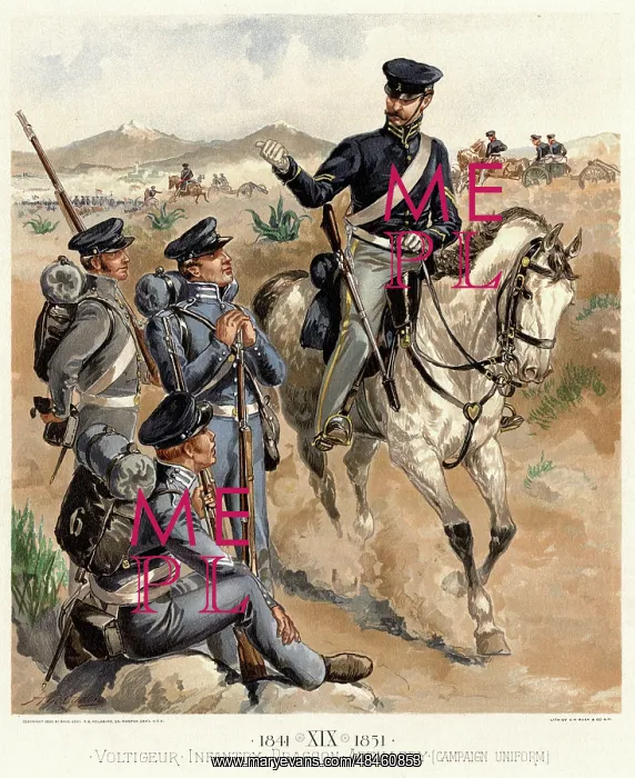: Voltigeur, Infantry, Dragoon, Artillery, Campaign Uniform : Voltigeur, Infantry, Dragoon, Artillery, Campaign Uniform