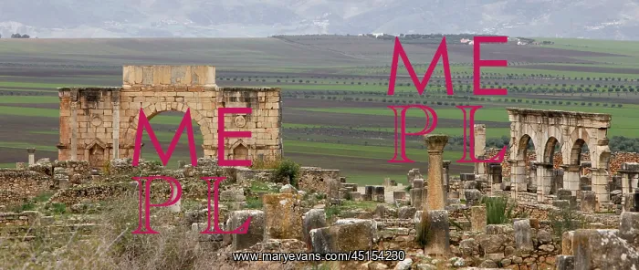 : Volubilis. Triumphal Arch and ruins of Forum, Volubilis : Volubilis. Triumphal Arch and ruins of Forum, Volubilis