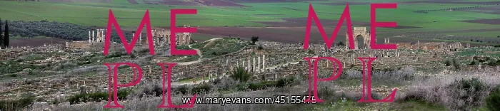 : Volubilis. Panorama of Volubilis, Morocco, pictured on December 25, 2009 : Volubilis. Panorama of Volubilis, Morocco, pictured on December 25, 2009