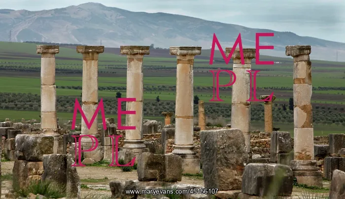 : Volubilis. Ruined Ionic columns of the Forum lining the Decumanus Maximus : Volubilis. Ruined Ionic columns of the Forum lining the Decumanus Maximus