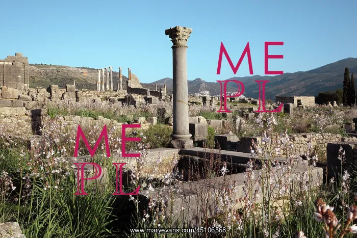 : Volubilis, Meknes-Tafilalet, Morocco : Volubilis, Meknes-Tafilalet, Morocco