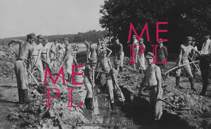 : Voluntary labor service, 1932 : Voluntary labor service, 1932