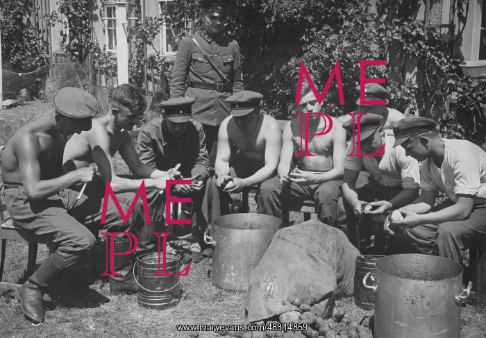 : Voluntary labor service, 1933 : Voluntary labor service, 1933