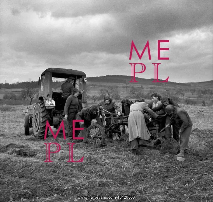 : Volunteer work : Volunteer work
