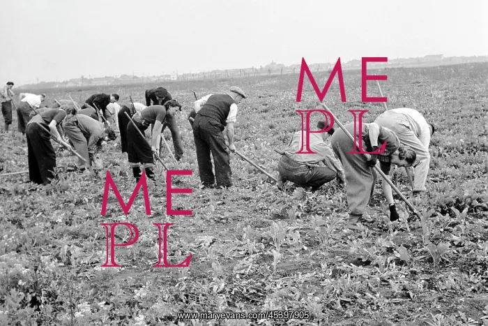 : Volunteers : Volunteers