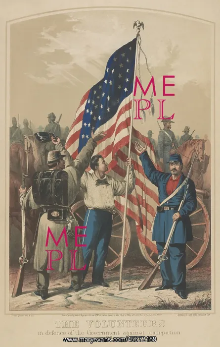 : The Volunteers in Defence of the Government : The Volunteers in Defence of the Government