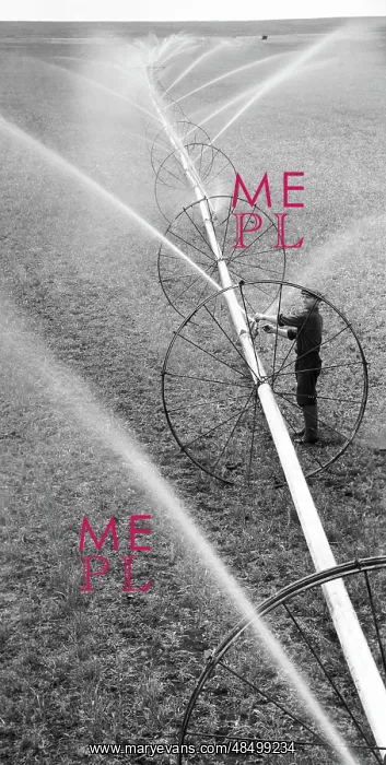 : Volzhanka irrigation wheel lines, 1971 : Volzhanka irrigation wheel lines, 1971