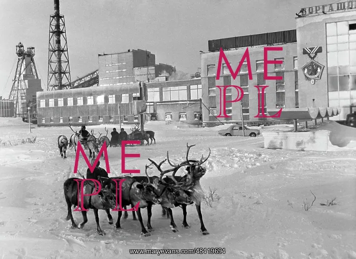 : Mine Vorgashorskaya, 1982 : Mine Vorgashorskaya, 1982