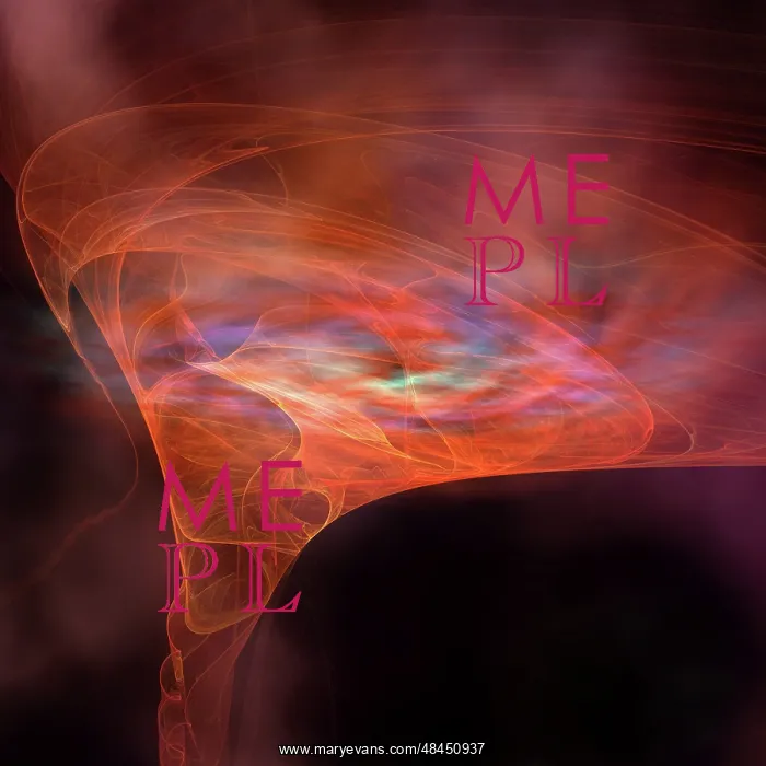  : The vortex field of a black hole