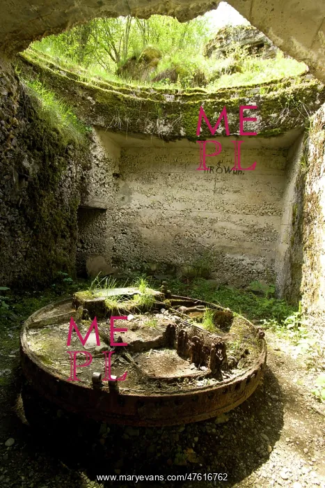 : Vosges - Hartmannsweilerkopf, Minenwerfer position, Courbe 7 : Vosges - Hartmannsweilerkopf, Minenwerfer position, Courbe 7